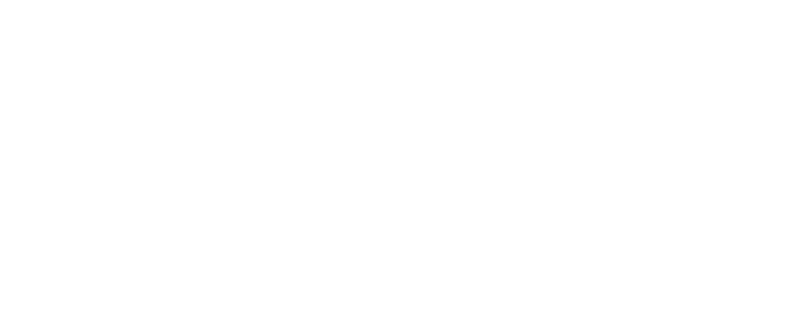 freedom caucus 2 White
